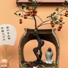 聚味轩酒楼(东升街店) User Photo