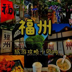 登興魚丸張用戶圖片