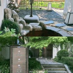 武义璟园蝶来望境酒店·茶餐厅 User Photo