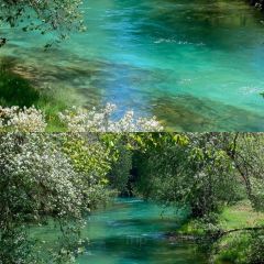 卡万金特色藏餐 User Photo