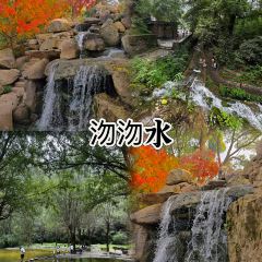 无极饸饹·饸饹张(第一分店) 여행 사진