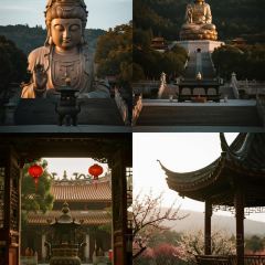 YU YAN LOU User Photo