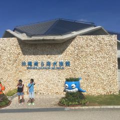 イノー（沖縄美ら海水族館）張用戶圖片