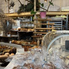 Dacomecca張用戶圖片