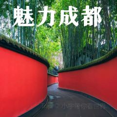 WANG JI TE SE GUO KUI User Photo