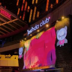 Panda Club User Photo