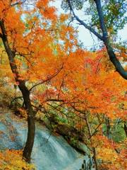 Hantong Mountain (Shenxian Cave)