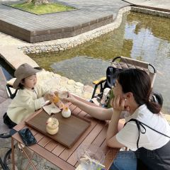 深林之梦·咖啡 User Photo