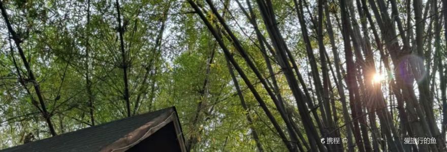 勐丽梦兰傣味餐厅