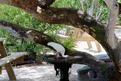 Casablanca Seafood Bar & Grill