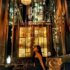 Bar Trigona User Photo