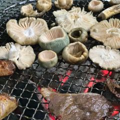 楚雄味道·野生菌庭院餐厅云南菜(楚雄店) User Photo
