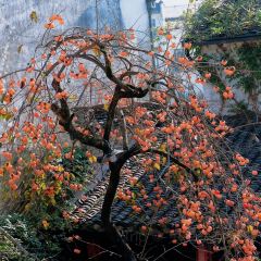 余清斋私房菜 여행 사진