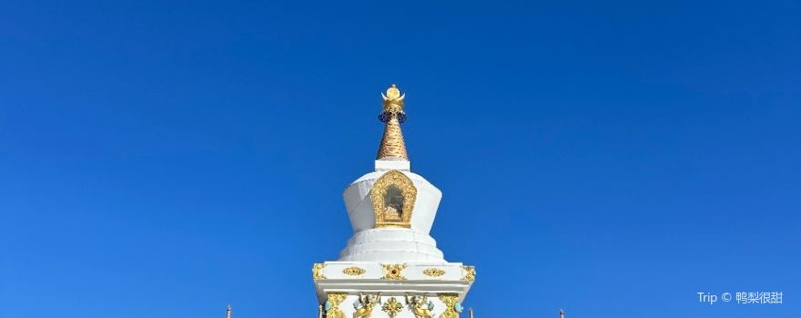 Namgyal Tallinn