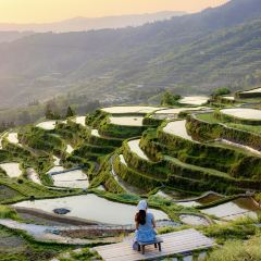 鱼王早餐店 User Photo