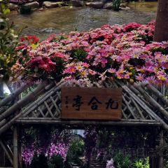 四四席博山老菜馆 User Photo