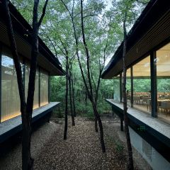 SHINKAI 여행 사진