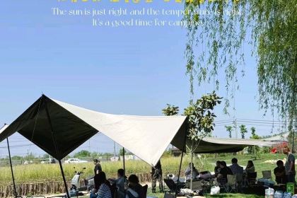 新联生态葡萄采摘园