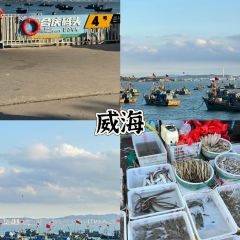 眼镜粑店 User Photo