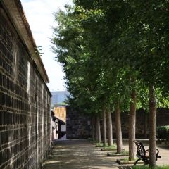 世臻和平饭店(富顺北湖一号店) User Photo