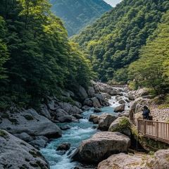 御香农家菜(后坞集散中心店) User Photo