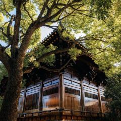 临空假日酒店(赤峰和美建材城玉龙机场店)·早餐厅 여행 사진