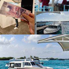 Citron by Lemongrass User Photo