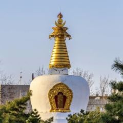 罕乌拉奶食店(小召店) User Photo