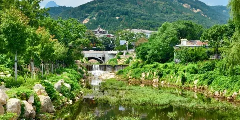 虎山公園