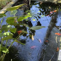 Coffee Next Door User Photo