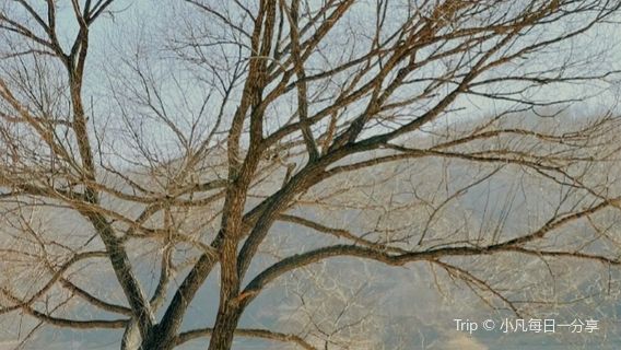 Lin Gao Slow City Silver Beach