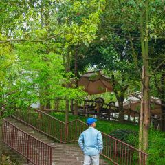 DONG PO SHAN ZHUANG TIAN YUAN SHENG TAI HUO GUO User Photo