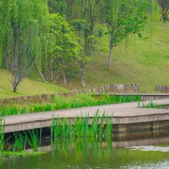 DONG PO SHAN ZHUANG TIAN YUAN SHENG TAI HUO GUO User Photo