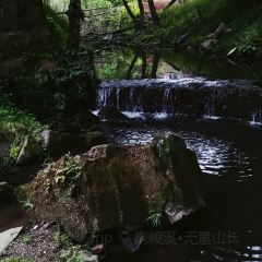 新桥河老鱼店 User Photo