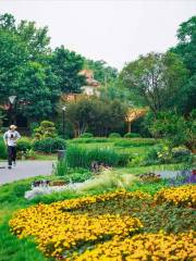 쯔보시 식물원