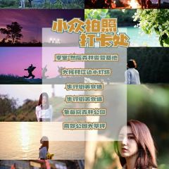 Bar Fable User Photo