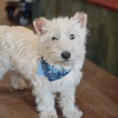 Paper Cafe User Photo