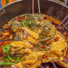 渝芝香美蛙三合鱼(洋河路店) User Photo