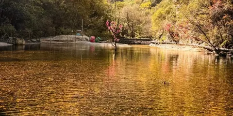 老達保村景區