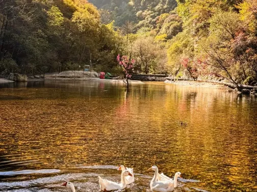 老達保村景區