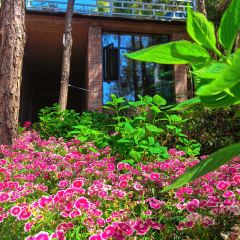 XIANG BA LI NONG GU LE User Photo