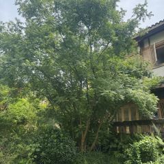 Ahnluh Guantang · All-Day Restaurant User Photo