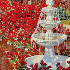 Hongyunhuoguoxiaozhan (sanfangqixiang) User Photo