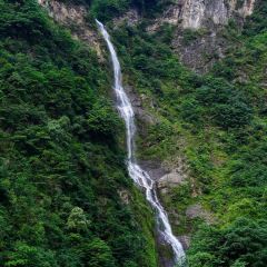 巴适得板冷水鱼庄 User Photo
