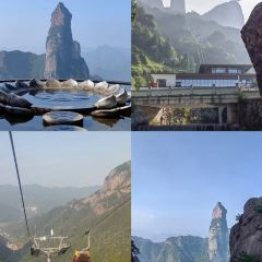 王阿姨梅花糕 User Photo