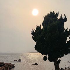 一品鲜鱼锅贴(人民一路店) User Photo