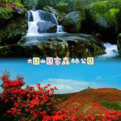 紅珍蒸菜館張用戶圖片