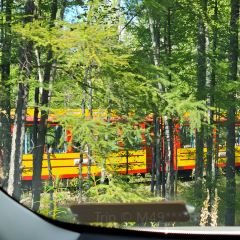 子昱饭店 User Photo