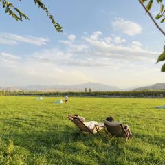 六月瓣咖啡 User Photo