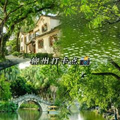 韋韋木薯羹張用戶圖片